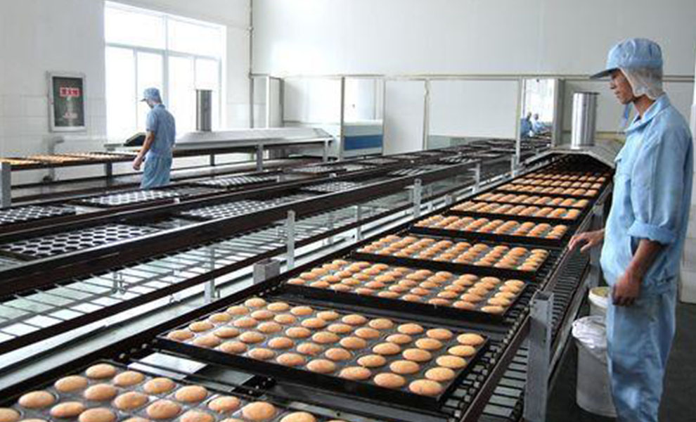 食品生產(chǎn)加工輸送帶