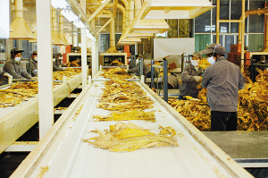 煙草行業(yè)輸送帶